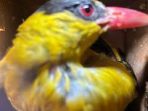 images - 2026-07-18T174138.873