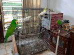 images - 2026-07-25T154216.479