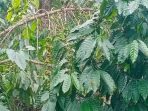 9d4825ed44ad0201be6eb11e199f40f7