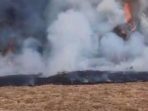 bb-tnggp-tutup-jalur-pendakian-karena-kebakaran-alun-alun-suryakancana-1786099073263_169