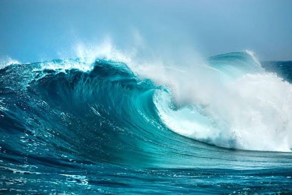 images - 2026-08-02T145423.707