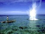 images - 2026-08-27T144715.084