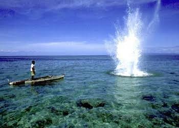 images - 2026-08-27T144715.084
