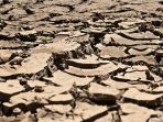 ilustrasi-kekeringan-sebagai-dampak-el-nino-freepik-1776310365501_169