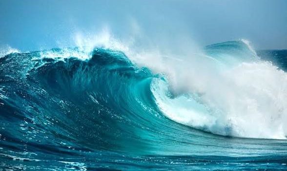 images - 2026-09-24T152147.612