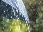 images - 2026-09-27T154232.371