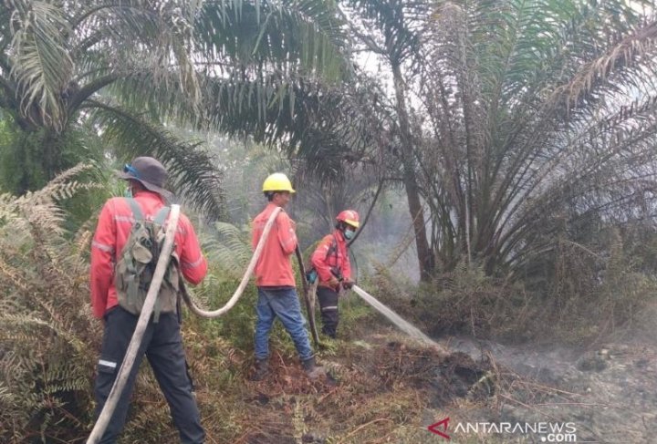 perusahaan-kertas-di-riau-bantu-padamkan-karhutla-di-pelalawan-220802y-rev1.jpg