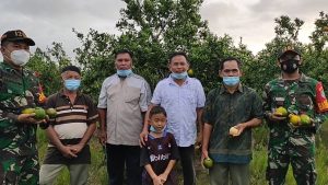 membantu-perekonomian-masyarakat-di-saat-pandemi-covid-19-koramil-1208-03tebas-melalui-babinsa-bantu-petani-jeruk-220802e-rev1.jpg