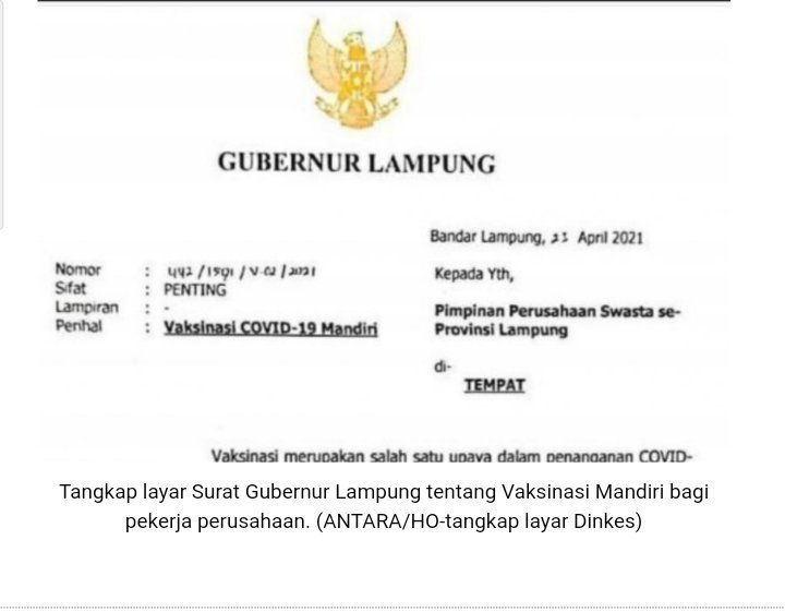 pemprov-lampung-imbau-perusahaan-ikut-serta-dalam-vaksinasi-mandiri-220802z-rev1.jpg