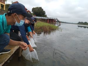 140-ribu-benih-ikan-ditebar-di-danau-ulak-lia-sekayu-2208021-rev1.jpg