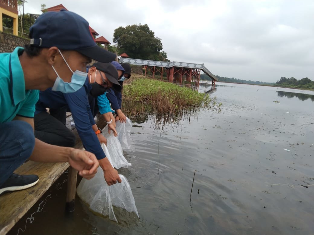 140-ribu-benih-ikan-ditebar-di-danau-ulak-lia-sekayu-2208021-rev1.jpg