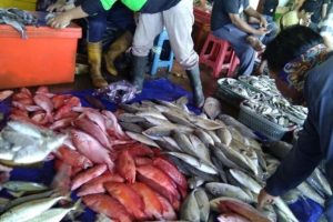cuaca-dukung-hasil-tangkapan-nelayan-di-makassar-220802a-rev1.jpg