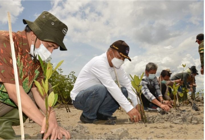 brgm-gandeng-pemda-dan-lsm-sinergi-rehabilitasi-mangrove-220802m-rev1.jpg