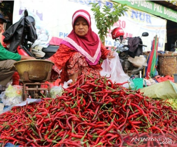 harga-cabai-merah-di-baturaja-turun-jadi-rp30000-per-kg-220802q-rev1.jpg