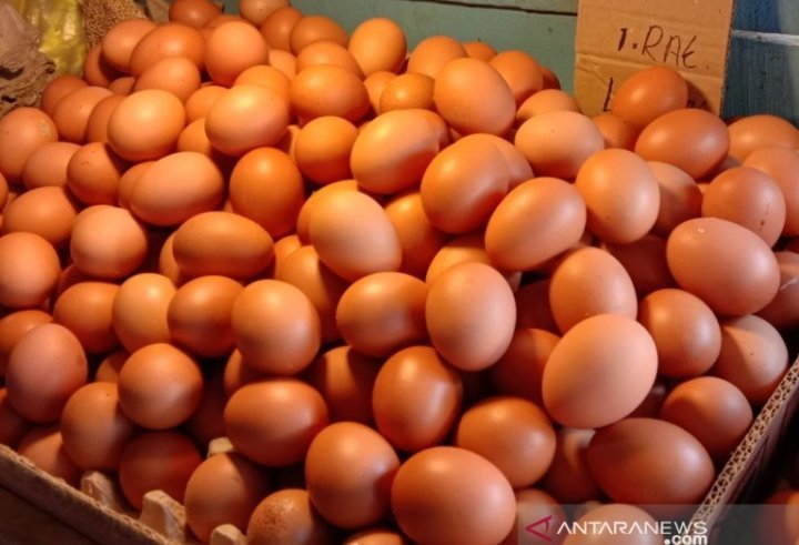 harga-telur-ayam-ras-di-ambon-naik-2208022-rev1.jpg