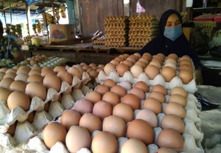 harga-telur-ayam-ras-di-makassar-bergerak-turun-jelang-ramadhan-220802e-rev1.jpg