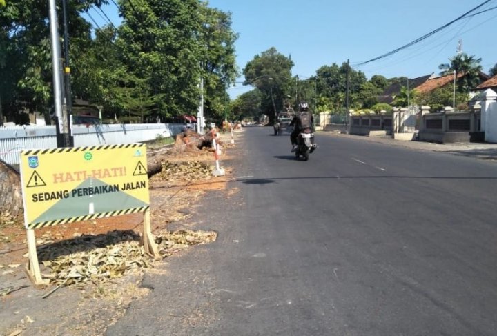 pemkot-mataram-ingatkan-pelaksana-proyek-segera-ganti-pohon-ditebang-220802k-rev1.jpg