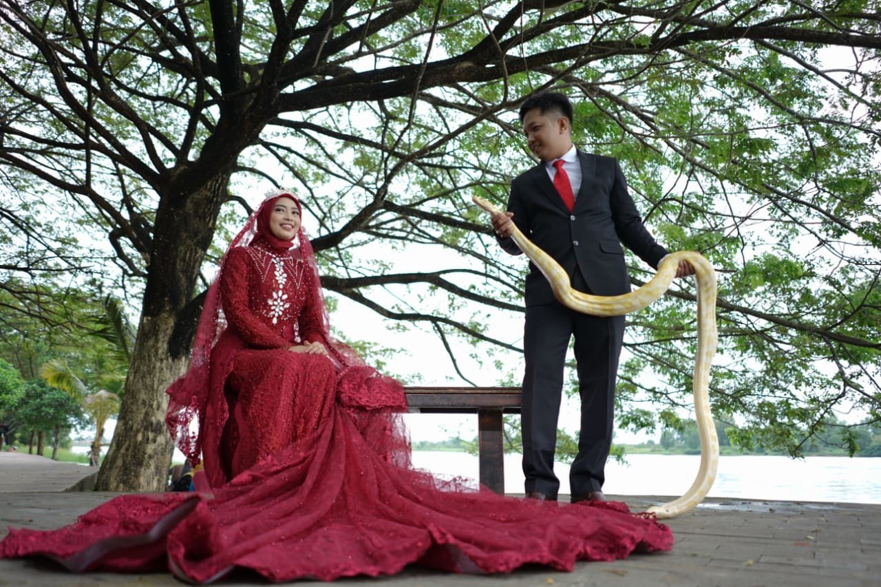 eksotis-dan-menegangkan-calon-pengantin-di-palembang-foto-prewedding-berselendangkan-ular-220803o-rev1.jpg