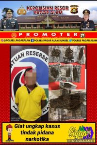 yandri-bandar-ganja-dibekuk-satnarkoba-pagaralam-tanpa-perlawanan-2208068-rev2.jpg