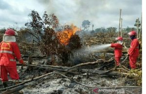 tim-gabungan-padamkan-lahan-gambut-terbakar-di-musi-banyuasin-2208068-rev1.jpg