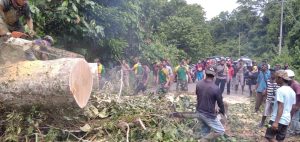 pohon-tumbang-halangi-jalan-raya-satgas-413-kostrad-turun-tangan-2208063-rev1.jpg