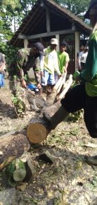 dinilai-membahayakan-babinsa-jragung-bersama-warga-laksanakan-karya-bakti-penebangan-pohon-2208066-rev2.jpg