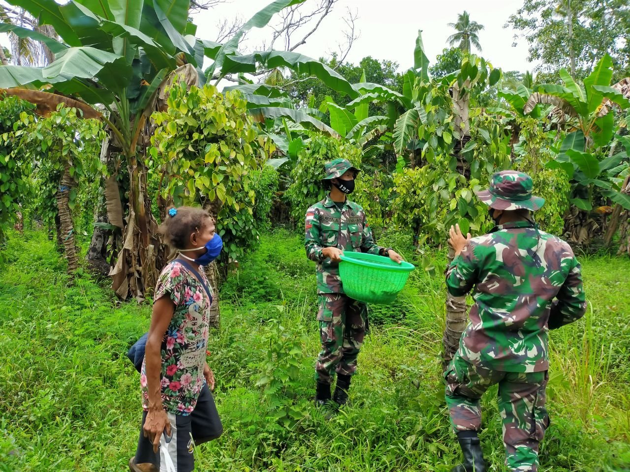 pererat-persaudaraan-di-tapal-batas-prajurit-satgas-yonif-125-bantu-warga-panen-merica-220806g-rev2.jpg