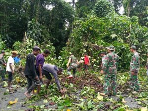 pohon-tumbang-menutup-poros-jalan-keerom-satgas-yonif-mr-413-kostrad-cepat-tanggap-evakuasi-2208066-rev1.jpg