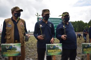 padat-karya-penanaman-mangrove-kecamatan-tulung-selapan-oki-berpotensi-jadi-kawasan-mangrove-unggulan-di-indonesia-220806d-rev1.jpg