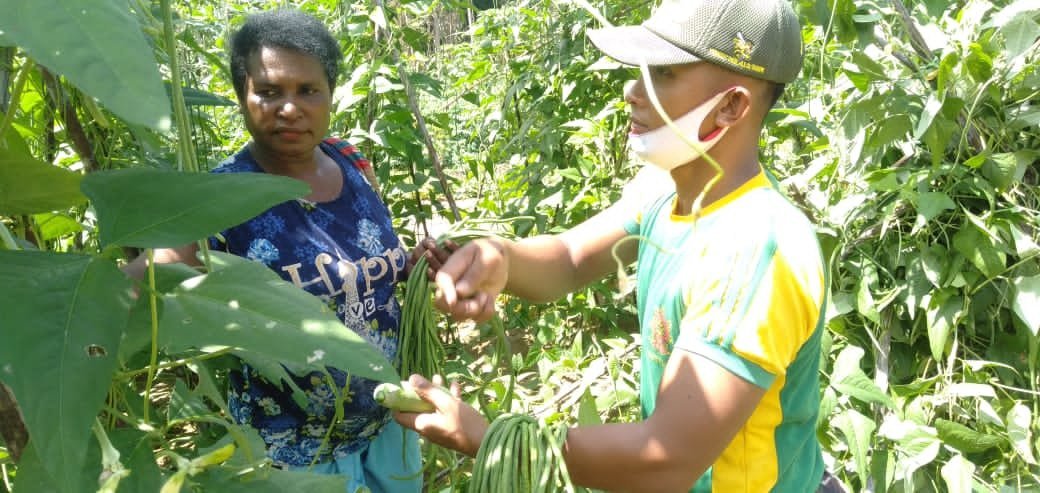 dukung-program-ketahanan-pangan-satgas-yonif-413-tanam-kacang-panjang-2208066-rev1.jpg