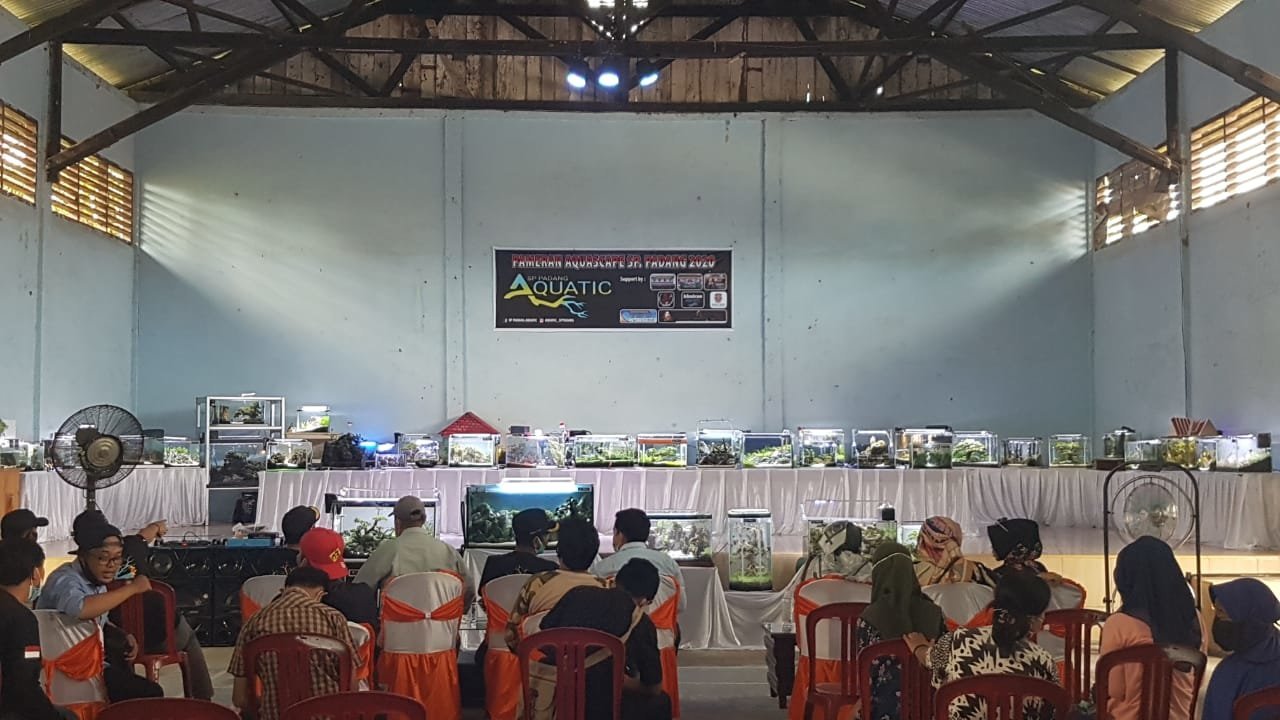 meriahkan-hut-ri-warga-kecamatan-sp-padang-adakan-pameran-aquascape-220806o-rev1.jpg
