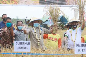herman-deru-rencanakan-bangun-jembatan-gantung-desa-ujan-mas-menjadi-jembatan-permanen-220806q-rev1.jpg