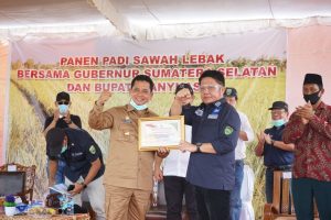 hari-minggu-tetap-kerja-herman-deru-panen-raya-padi-lebak-2208067-rev2.jpg
