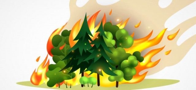 lahan-di-pinggir-tolpalembang-indralaya-terbakar-2208067-rev2.jpg