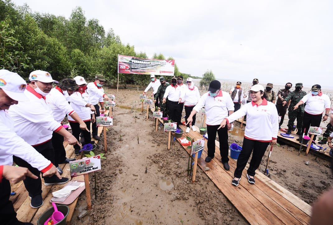 herman-deru-taman-wisata-mangrove-sumsel-siap-saingi-bali-220806n-rev2.jpg