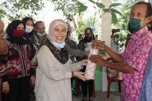 kelompok-tani-karet-babat-toman-terima-15000-batang-bibit-karet-2208065-rev1.jpg
