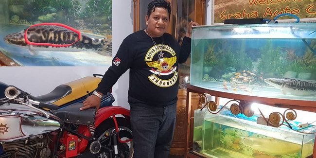 biker-motor-antik-ini-koleksi-ikan-langka-bertuliskan-nama-klubnya-2208068-rev3.jpg