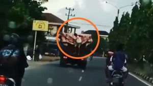 viral-video-bajing-loncat-di-kertapati-palembang-220806y-rev3.jpg