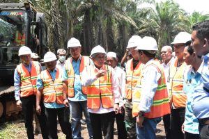 oki-remajakan-21-ribu-hektare-kepala-sawit-rakyat-220831d.jpg