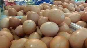 disperindag-sebut-harga-telur-di-bengkulu-masih-normal-2209215.jpg