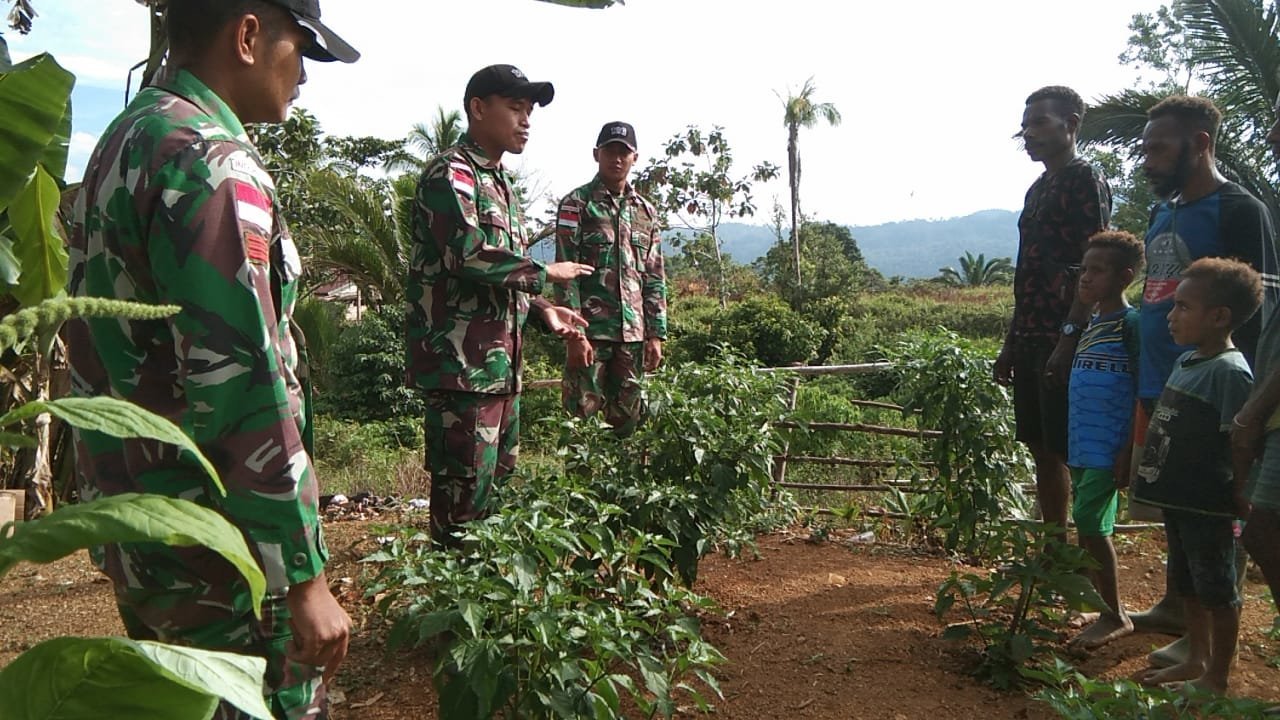 satgas-yonif-126kala-cakti-berikan-sosialisasi-cara-menanam-dan-berkebun-cabai-2210127.jpg