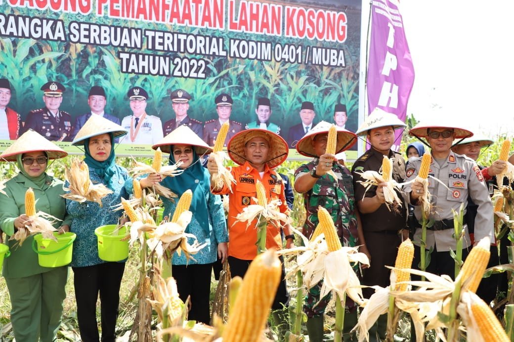 pj-bupati-muba-dan-kodim-0401-panen-jagung-221020v.jpg