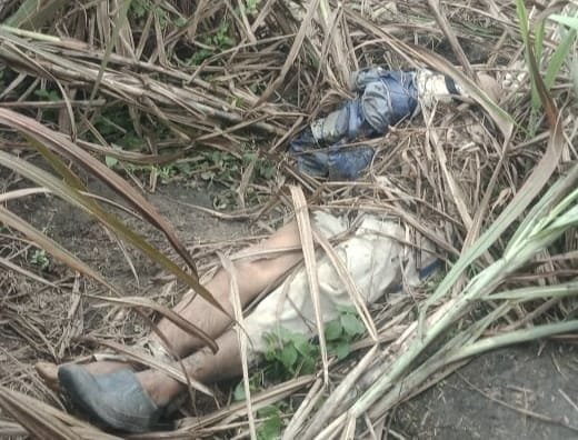 mayat-pria-ditemukan-di-perkebunan-tebu-221031s.jpg
