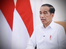 hari-ini-jokowi-letakan-batu-pertama-plta-mentarang-induk-230301t.jpg