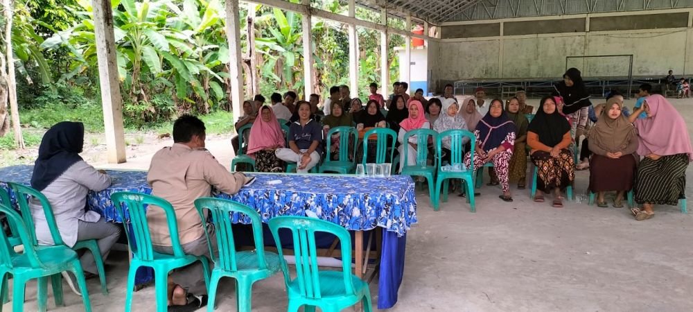 lia © 2023 krsumsel.com