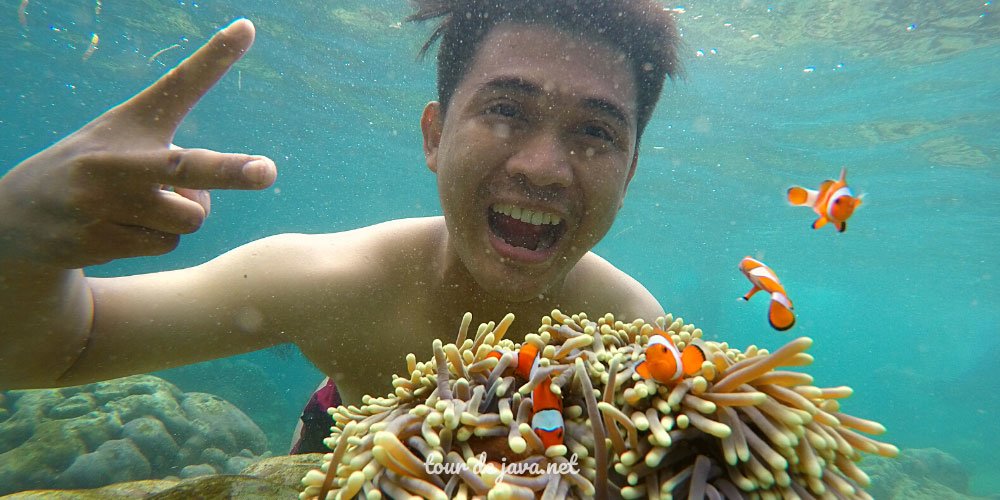 pahawang © 2023 krsumsel.com Kisah Pulau Pahawang Lampung