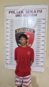sempat-dpo-tinok-digulung-unit-reskrim-polsek-sekayu-230607n.jpg